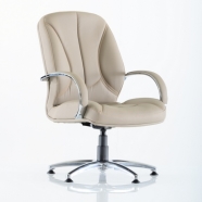 GOLDSİT RİCCO RİCCO 200 C Misafir Koltuğu