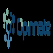 OPINNATE OPN-NSPM-STD-1YR OPN-NSPM-STD-1YR Sadece Yazılım Güvenlik  Programı