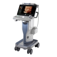 00195278560148 GE HEALTHCARE H43222LS Voluson Swift Sabit Renkli Doppler Ultr...