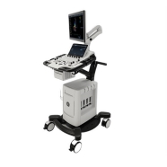 00195278796455 GE HEALTHCARE H48082BZ Vivid T9 V208 Sabit Renkli Doppler Ultr...